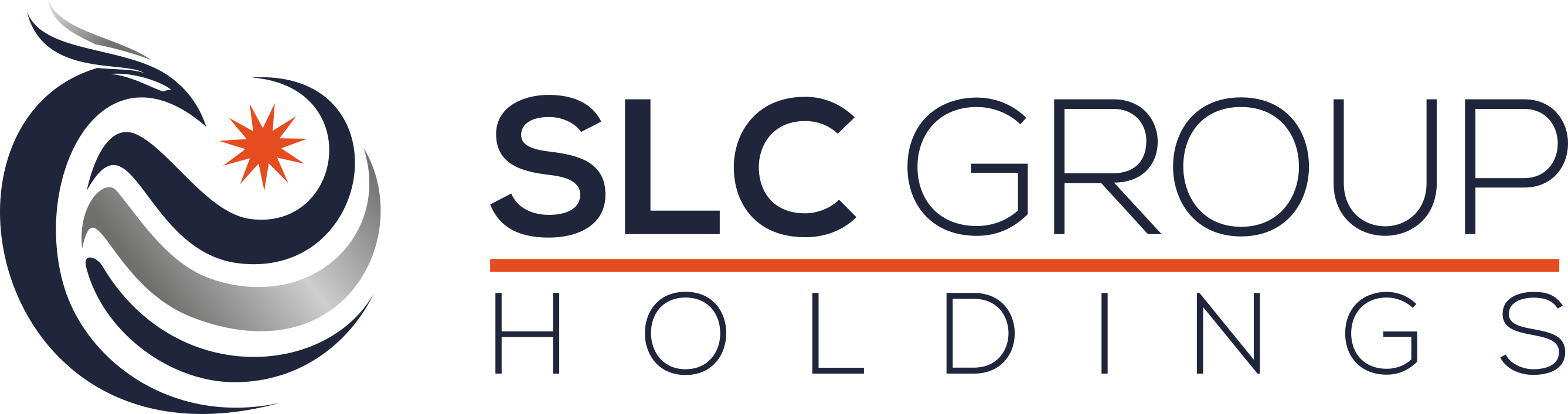 E - SLC Group Holdings