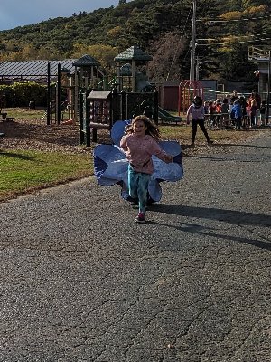 Parachute training
