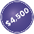TeamRaiser Achievement Badge